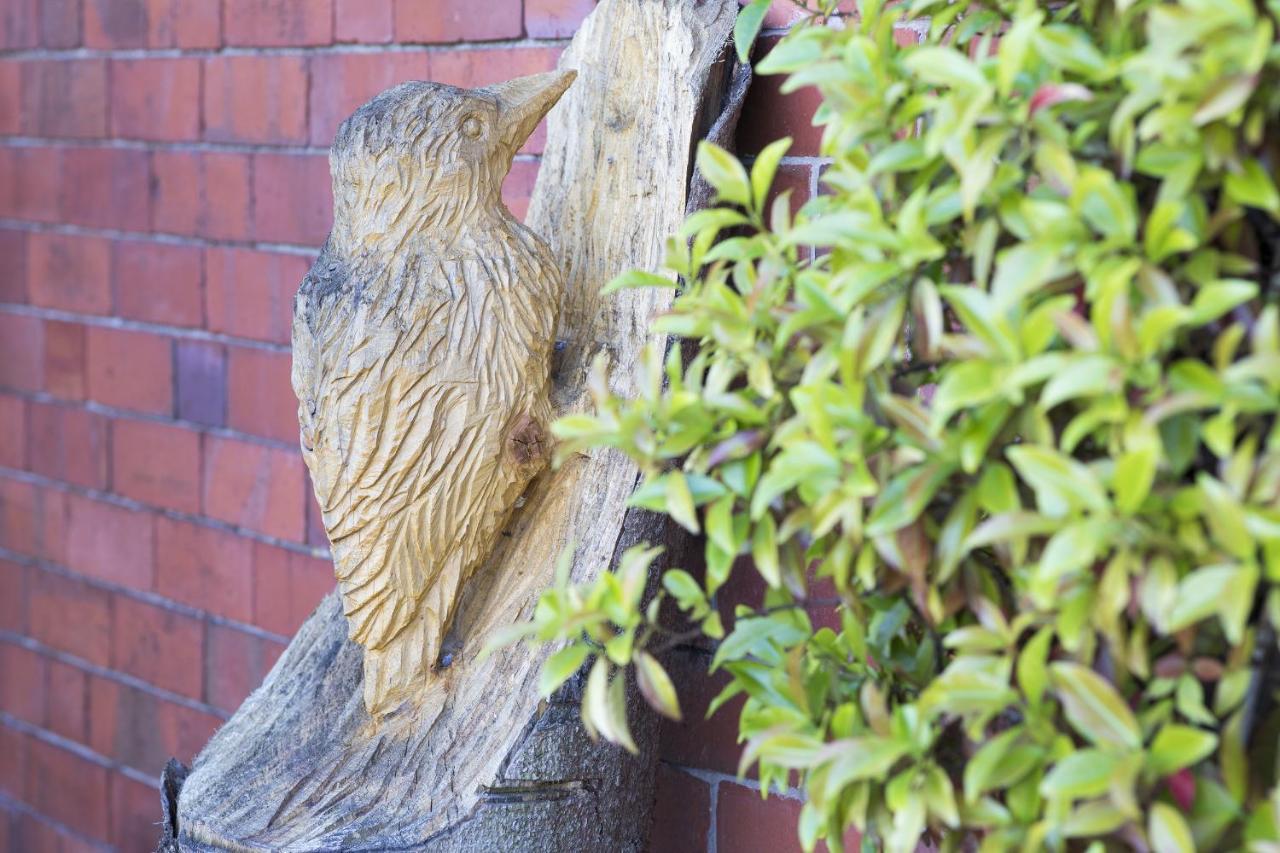 1 Bed Llangollen Cottage - Sleeps 2 Eksteriør billede